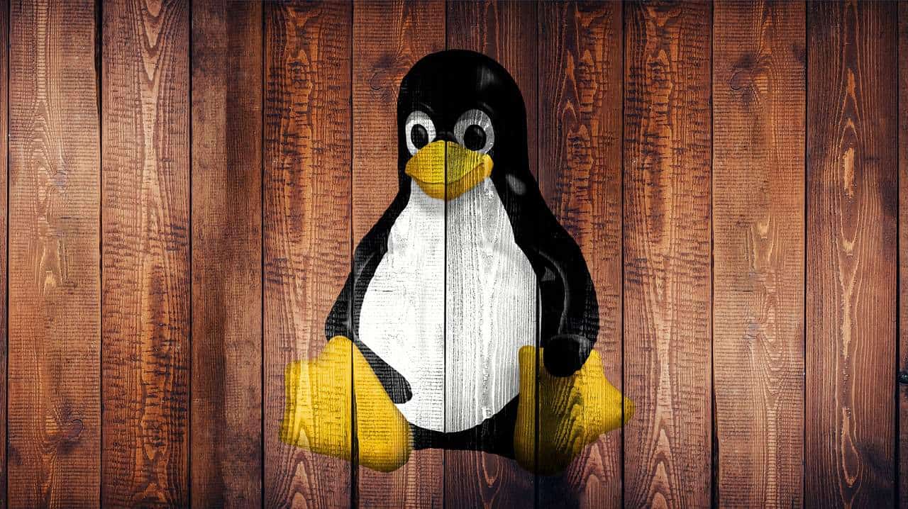 Distro Linux 32 bit: le migliori scelte per PC datati